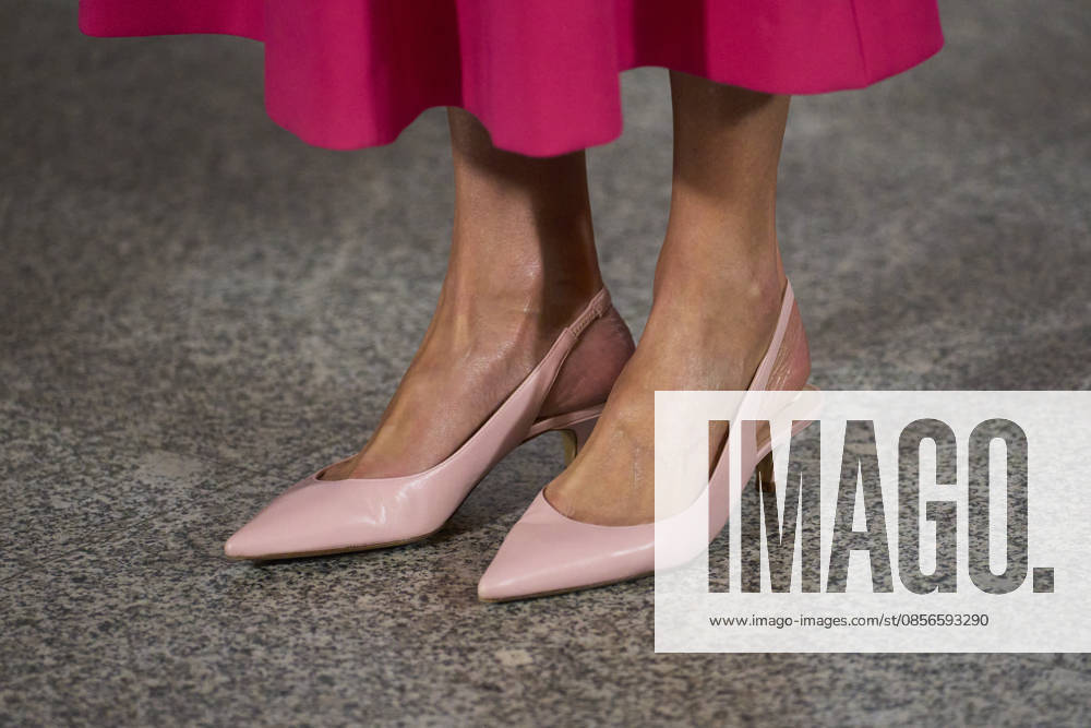 Queen Letizia attends Opening of the 17th Ibero-American Conference of Health Ministers Queen Letizia of Spain attends Opening of the 17th Ibero-American Conference of Health Ministers at Royal Theatre on May 14, 2026 in Madrid, Spain Photo by IMAGO MPG Madrid Royal Theatre Madrid Spain