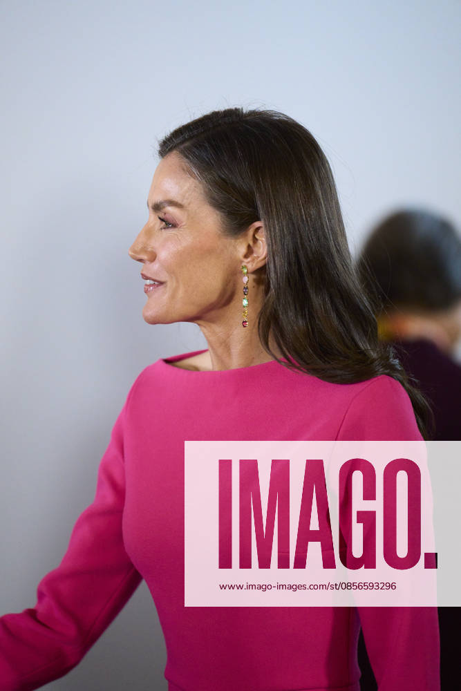Queen Letizia attends Opening of the 17th Ibero-American Conference of Health Ministers Queen Letizia of Spain attends Opening of the 17th Ibero-American Conference of Health Ministers at Royal Theatre on May 14, 2026 in Madrid, Spain Photo by IMAGO MPG Madrid Royal Theatre Madrid Spain