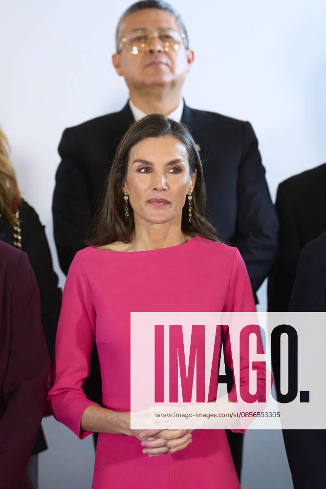 Queen Letizia attends Opening of the 17th Ibero-American Conference of Health Ministers Queen Letizia of Spain attends Opening of the 17th Ibero-American Conference of Health Ministers at Royal Theatre on May 14, 2026 in Madrid, Spain Photo by IMAGO MPG Madrid Royal Theatre Madrid Spain
