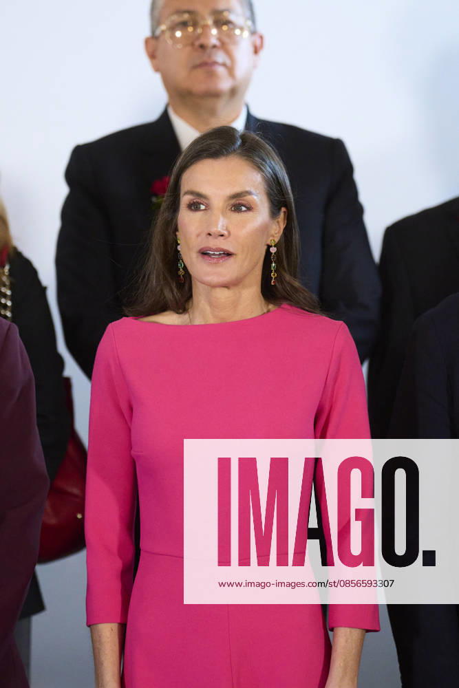 Queen Letizia attends Opening of the 17th Ibero-American Conference of Health Ministers Queen Letizia of Spain attends Opening of the 17th Ibero-American Conference of Health Ministers at Royal Theatre on May 14, 2026 in Madrid, Spain Photo by IMAGO MPG Madrid Royal Theatre Madrid Spain
