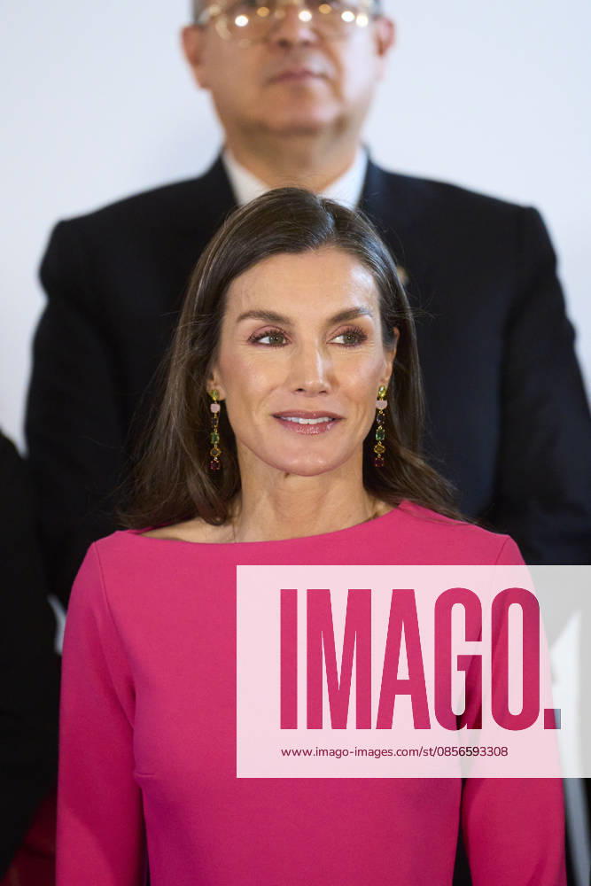 Queen Letizia attends Opening of the 17th Ibero-American Conference of Health Ministers Queen Letizia of Spain attends Opening of the 17th Ibero-American Conference of Health Ministers at Royal Theatre on May 14, 2026 in Madrid, Spain Photo by IMAGO MPG Madrid Royal Theatre Madrid Spain