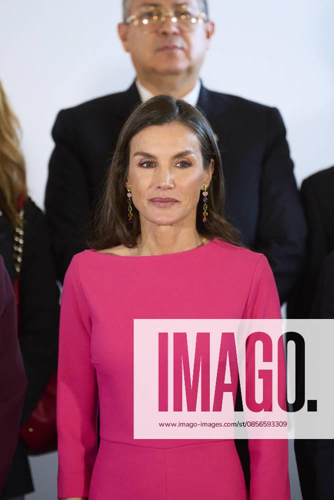 Queen Letizia attends Opening of the 17th Ibero-American Conference of Health Ministers Queen Letizia of Spain attends Opening of the 17th Ibero-American Conference of Health Ministers at Royal Theatre on May 14, 2026 in Madrid, Spain Photo by IMAGO MPG Madrid Royal Theatre Madrid Spain