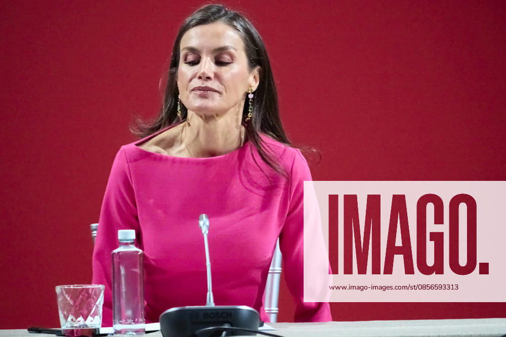 Queen Letizia attends Opening of the 17th Ibero-American Conference of Health Ministers Queen Letizia of Spain attends Opening of the 17th Ibero-American Conference of Health Ministers at Royal Theatre on May 14, 2026 in Madrid, Spain Photo by IMAGO MPG Madrid Royal Theatre Madrid Spain