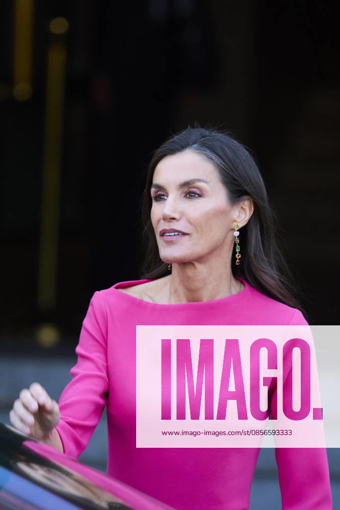 Queen Letizia attends Opening of the 17th Ibero-American Conference of Health Ministers Queen Letizia of Spain attends Opening of the 17th Ibero-American Conference of Health Ministers at Royal Theatre on May 14, 2026 in Madrid, Spain Photo by IMAGO MPG Madrid Royal Theatre Madrid Spain