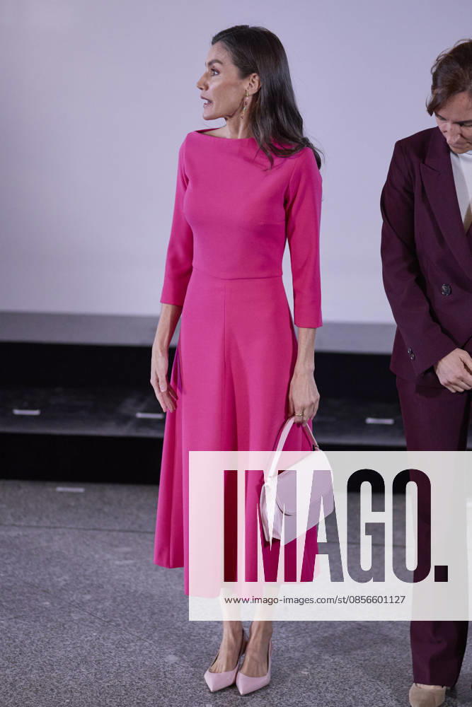 QUEEN LETIZIA of Spain attends the 17th Ibero-American conference of Health Ministers Madrid Spain - ZUMAc260 20260514_zep_c260_009