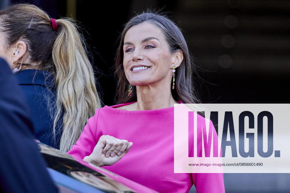 QUEEN LETIZIA of Spain attends the 17th Ibero-American conference of Health Ministers Madrid Spain - ZUMAc260 20260514_zep_c260_017