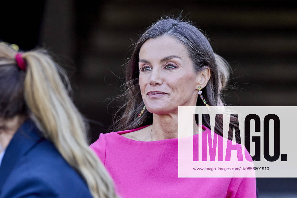 QUEEN LETIZIA of Spain attends the 17th Ibero-American conference of Health Ministers Madrid Spain - ZUMAc260 20260514_zep_c260_027