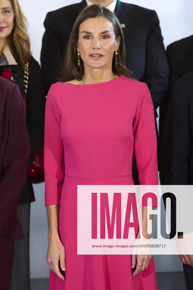 Madrid Queen Letizia during the 17th Latinamerican Health Conference at the Teatro real in Madrid. No Spain Â