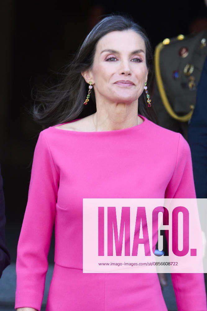 Madrid Queen Letizia during the 17th Latinamerican Health Conference at the Teatro real in Madrid. No Spain Â