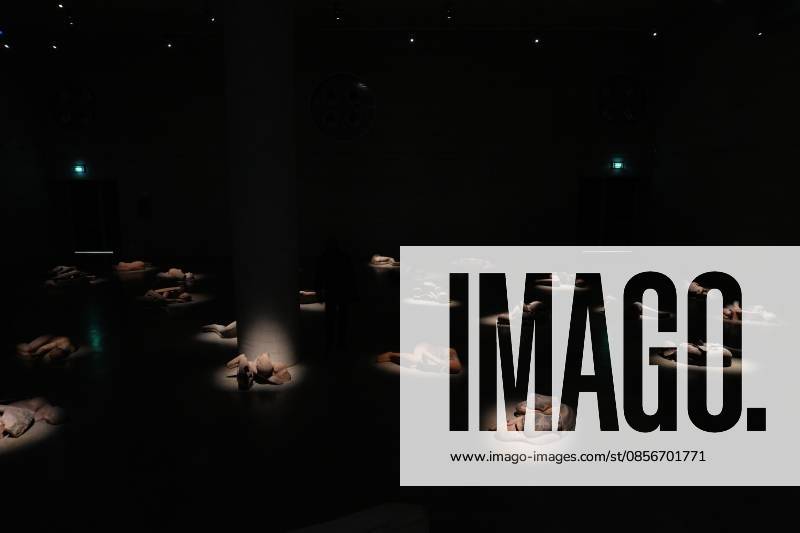 IPA84713309 - Milan, Preview of Mimmo Paladino s Paladino Installation Exhibition in the Sterling Room of Palazzo Citterio