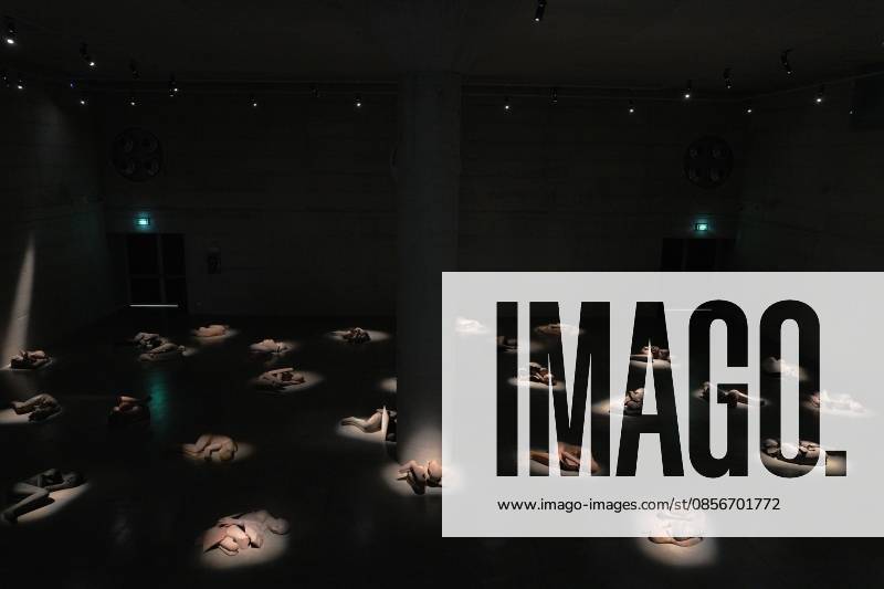 IPA84713310 - Milan, Preview of Mimmo Paladino s Paladino Installation Exhibition in the Sterling Room of Palazzo Citterio