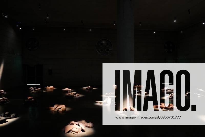 IPA84713319 - Milan, Preview of Mimmo Paladino s Paladino Installation Exhibition in the Sterling Room of Palazzo Citterio