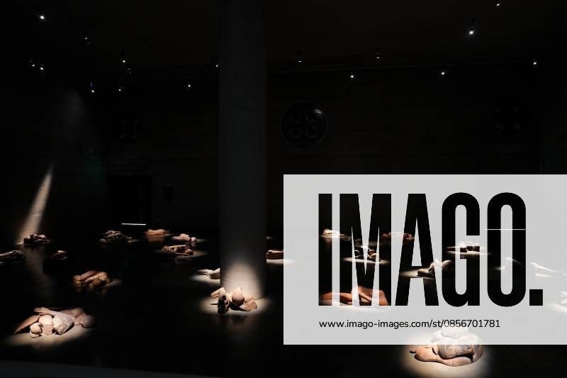 IPA84713323 - Milan, Preview of Mimmo Paladino s Paladino Installation Exhibition in the Sterling Room of Palazzo Citterio