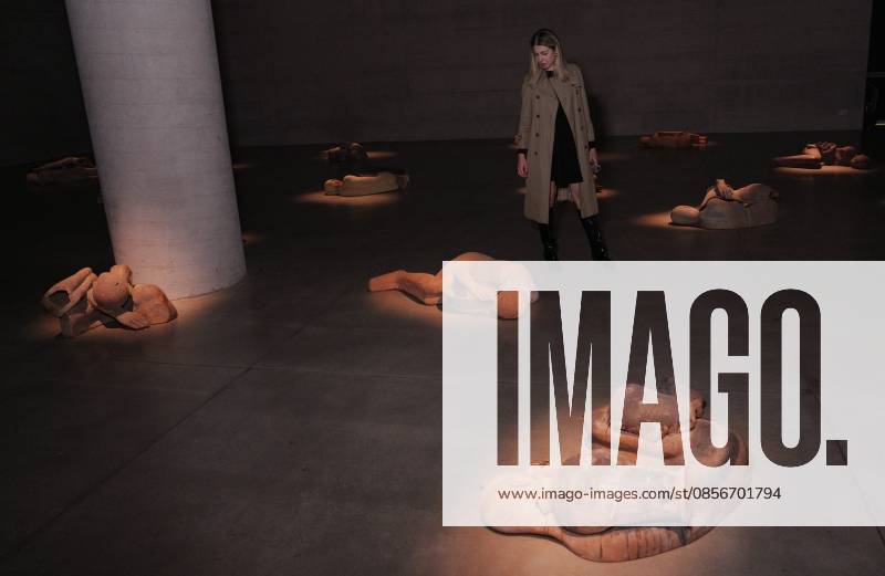 IPA84713333 - Milan, Preview of Mimmo Paladino s Paladino Installation Exhibition in the Sterling Room of Palazzo Citterio