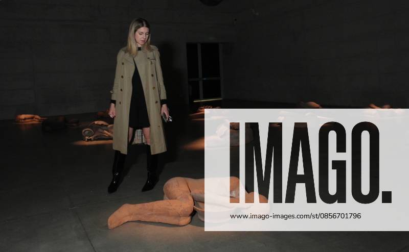 IPA84713334 - Milan, Preview of Mimmo Paladino s Paladino Installation Exhibition in the Sterling Room of Palazzo Citterio