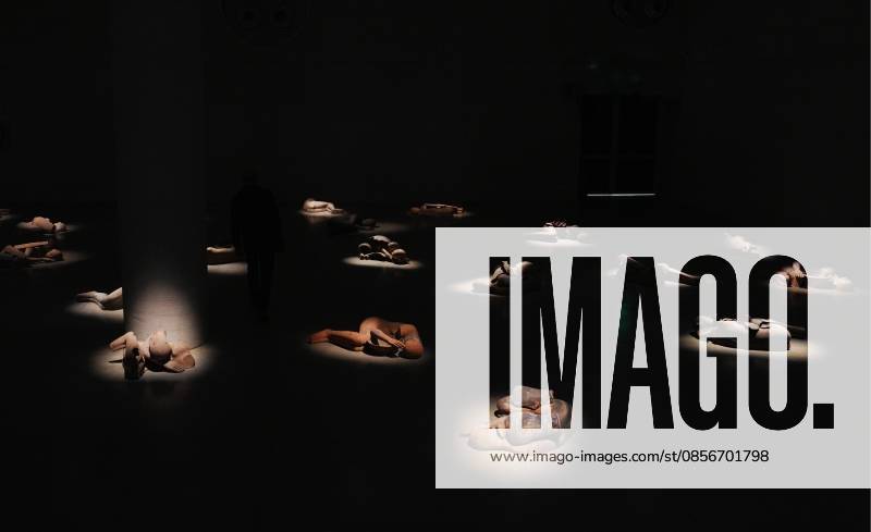 IPA84713335 - Milan, Preview of Mimmo Paladino s Paladino Installation Exhibition in the Sterling Room of Palazzo Citterio