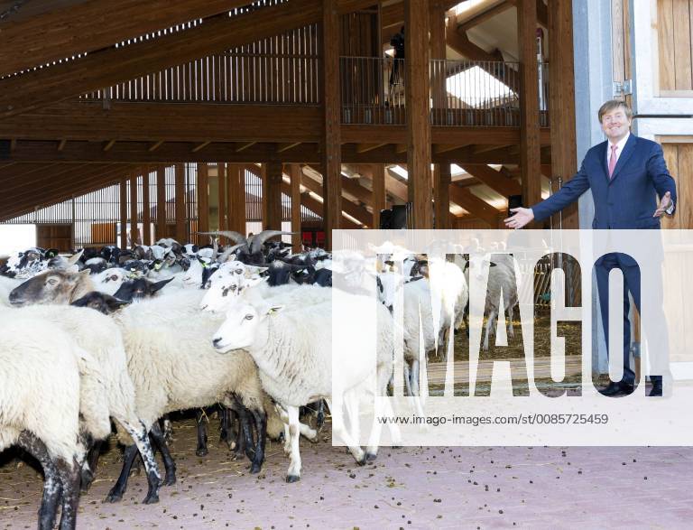Bagerveen King Willem-Alexander during the opening of the new sheepfold, schaapskooi, in Bagerveen. Bagerveen is a 2.000 hectares nature reserve.