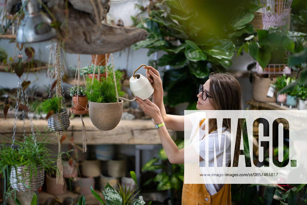 Eine Gärtnerin in Latzhose gießt eine Zimmerpflanze im Topf in einem Gewächshaus, umgeben von Pflanzen und Töpfen Woman gardener in orange overalls watering potted houseplant in greenhouse surrounded by plants and pots, using white watering can metal. Home gardening, love of plants and care. Small business. (License=RF) ,model released, Symbolfoto