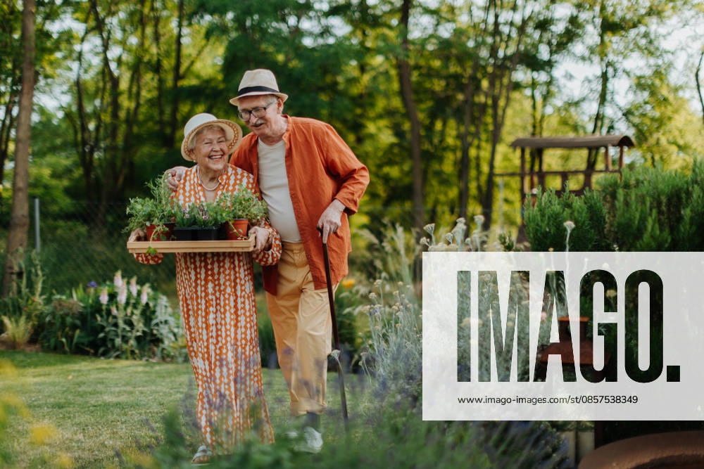 Senior couple working in garden during spring day. Senior couple working in garden during spring day. Hobby for elderly. model released