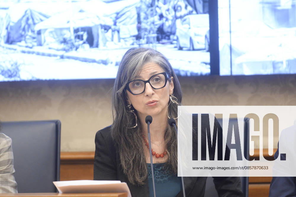 IPA85160349 - Rome Senate presentation of UN special rapporteur s report on the occupied Palestinian territories, pictured is Francesca Albanese