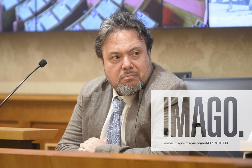 IPA85160324 - Rome Senate presentation of UN special rapporteur s report on the occupied Palestinian territories, pictured Dario Carotenuto