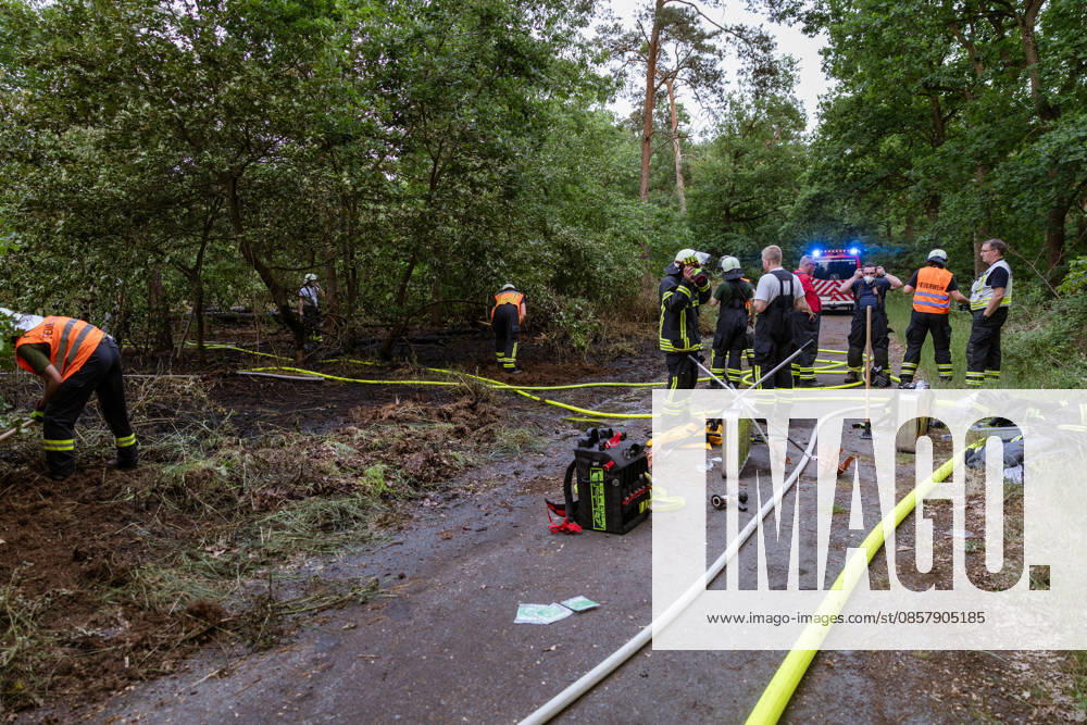 Waldbrand bei Weiterstadt Am 29.05.2026 ist in Weiterstadt-Gräfenhausen westlich der Autobahn A5 ein Waldbrand ausgebrochen. Betroffen war eine rund 900 Quadratmeter große Waldfläche zwischen der Raststätte Gräfenhausen West und dem angrenzenden Steinrodsee. 106 Einsatzkräfte mit 20 Löschfahrzeugen waren vor Ort. Die Feuerwehr brachte den Brand unter Kontrolle und verhinderte eine Ausdehnung auf angrenzende Waldbereiche. Die Nachlöscharbeiten dauerten bis in die Abendstunden an. Weiterstadt Gräfenhausen Hessen Deutschland