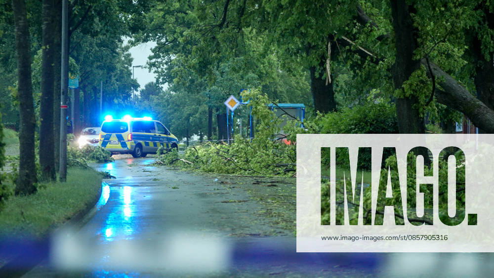 Eine heftige Gewitterfront wütete am Abend in Rheine. Die Kreisstadt versank nach sinnflutartigen Regenfällen, Orkanböen und Hagel im Unwetterchaos. In der Stadt herrscht seit 19 Uhr Ausnahmezustand. Zahlreiche Bäume sind umgestürzt und legen den Verkehr lahm. Ampeln sind auf Grund von Blitzschlägen ausgefallen. Zahlreiche Straßenzüge stehen unter Wasser. Ein Autofahrer versank mit seinem Wagen auf der Bahnhofstraße in den Fluten. Einige Menschen und auch Kinder unterschätzten die Gefahr und wollten die Unterführung durchqueren. Die Polizei schritt ein. Autos mussten abgeschleppt werden, da sie einen Wasserschaden erlitten. Die Feuerwehr kommt aktuell nicht hinterher. Bis in den Samstag hinein müssen die Schäden beseitigt werde