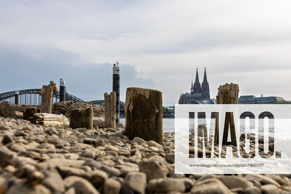 Niedrigwasser in Köln 29.05.2026 Niedrigwasser am Rhein in Köln-Deutz: Bei einem Rheinpegel von 148 cm am Pegel Köln sind am rechtsrheinischen Ufer Kiesflächen und alte Holzpfähle freigelegt. Die Holzpfähle werden bei Niedrigwasser sichtbar; ihre genaue historische Zuordnung gilt als nicht eindeutig. Im Hintergrund sind der Kölner Dom und die Hohenzollernbrücke zu sehen. Köln Deutz Nordrhein-Westfalen Deutschland