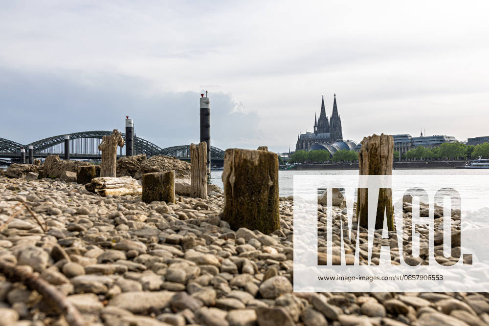 Niedrigwasser in Köln 29.05.2026 Niedrigwasser am Rhein in Köln-Deutz: Bei einem Rheinpegel von 148 cm am Pegel Köln sind am rechtsrheinischen Ufer Kiesflächen und alte Holzpfähle freigelegt. Die Holzpfähle werden bei Niedrigwasser sichtbar; ihre genaue historische Zuordnung gilt als nicht eindeutig. Im Hintergrund sind der Kölner Dom und die Hohenzollernbrücke zu sehen. Köln Deutz Nordrhein-Westfalen Deutschland