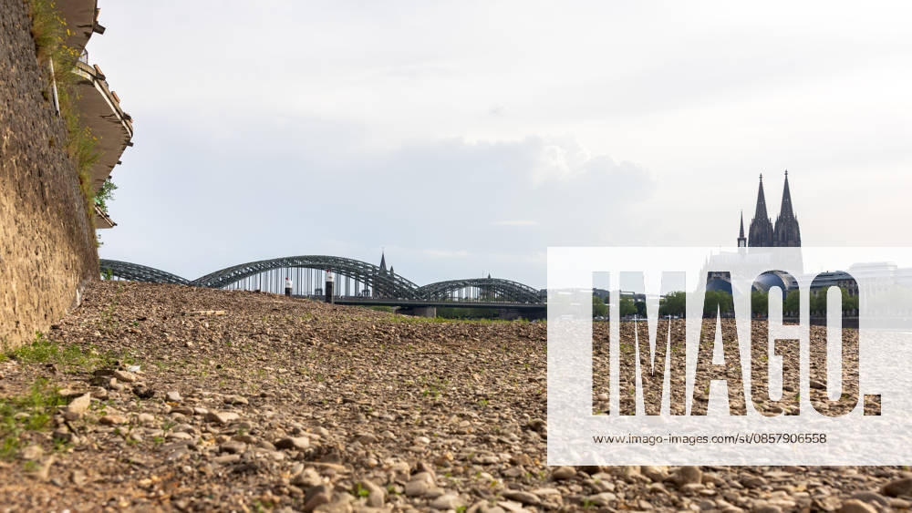 Niedrigwasser in Köln 29.05.2026 Niedrigwasser am Rhein in Köln-Deutz: Bei einem Rheinpegel von 148 cm am Pegel Köln ist das rechtsrheinische Ufer großflächig trockengefallen. Der niedrige Wasserstand legt Kies- und Sandflächen frei; im Hintergrund sind der Kölner Dom und die Hohenzollernbrücke zu sehen. Köln Deutz Nordrhein-Westfalen Deutschland