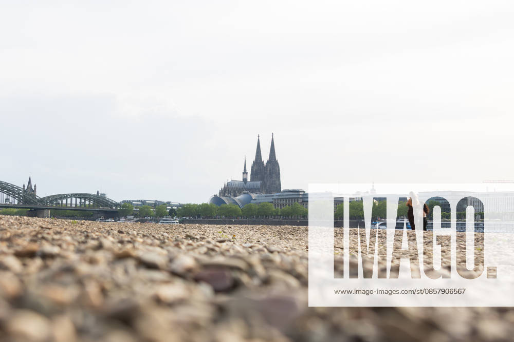 Niedrigwasser in Köln 29.05.2026 Niedrigwasser am Rhein in Köln-Deutz: Bei einem Rheinpegel von 148 cm am Pegel Köln ist das rechtsrheinische Ufer großflächig trockengefallen. Der niedrige Wasserstand legt Kies- und Sandflächen frei; im Hintergrund sind der Kölner Dom und die Hohenzollernbrücke zu sehen. Köln Deutz Nordrhein-Westfalen Deutschland