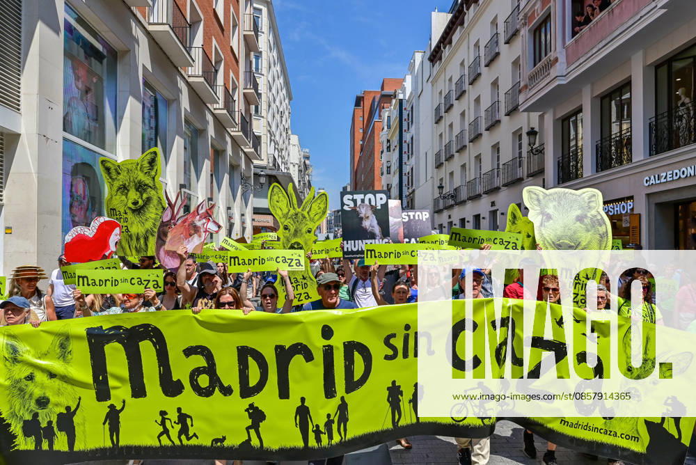 Participants attend the Madrid Without Hunting demonstration held in Callao Square, Madrid, advocating for wildlife protection and promoting urban spaces free from hunting activities. Madrid SPAIN - ZUMAz108 20260530_znp_z108_004