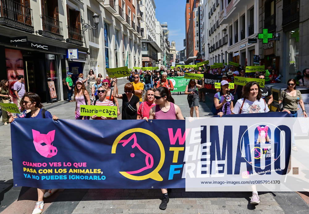 Participants attend the Madrid Without Hunting demonstration held in Callao Square, Madrid, advocating for wildlife protection and promoting urban spaces free from hunting activities. Madrid SPAIN - ZUMAz108 20260530_znp_z108_006