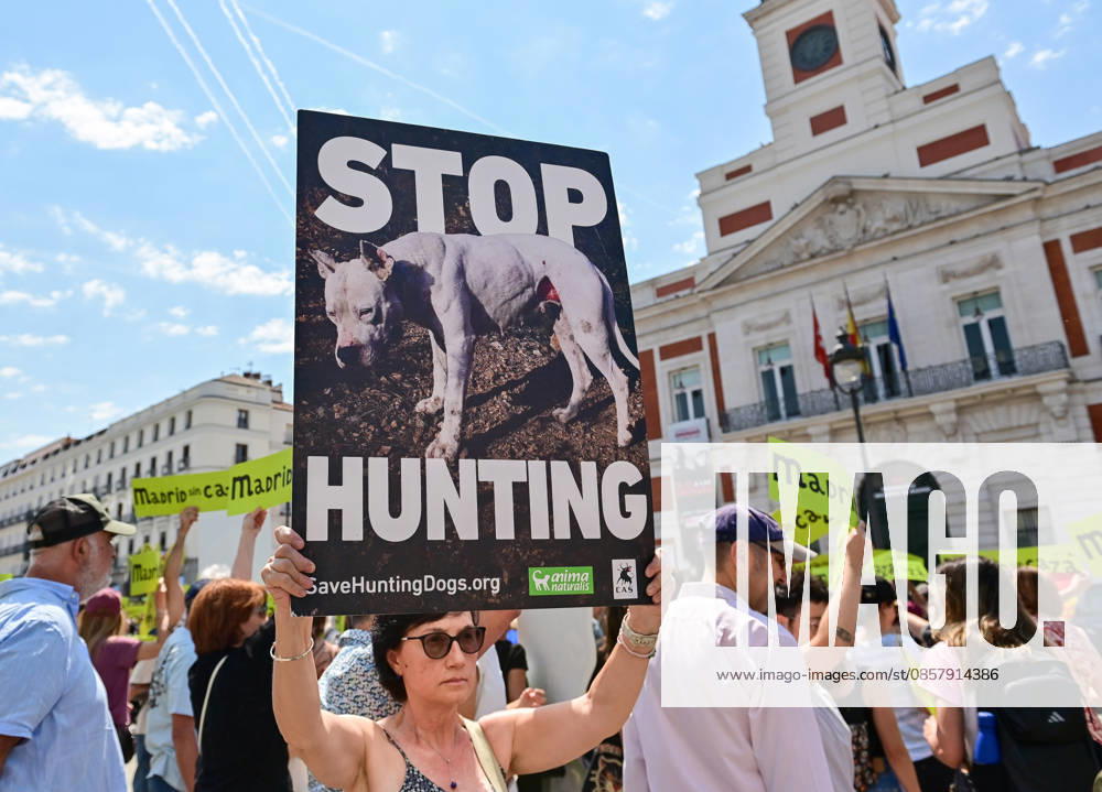Participants attend the Madrid Without Hunting demonstration held in Callao Square, Madrid, advocating for wildlife protection and promoting urban spaces free from hunting activities. Madrid SPAIN - ZUMAz108 20260530_znp_z108_012