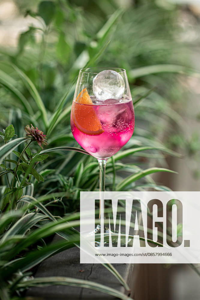Rosa Cocktail mit Zitrusfrüchten im Garten Refreshing pink cocktail with orange slice and ice served in elegant wine glass among lush green plants (License=RF)