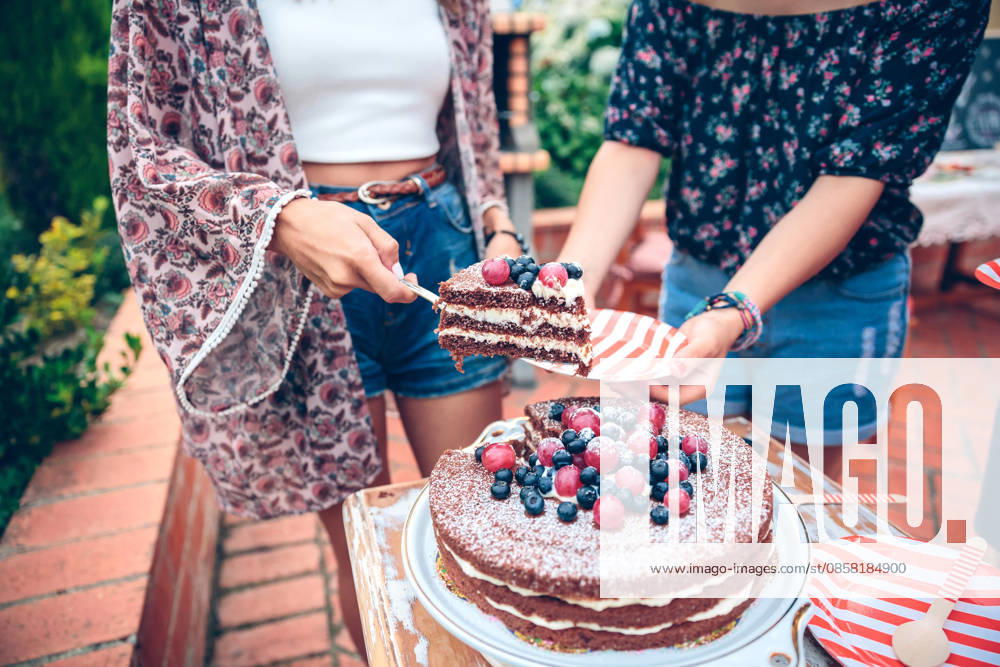 IMAGO Creative, Lifestyle, Feste im Garten #2 kuchen,gartenparty,gartenfest,gartenfeste,gartenparties,party,sommerfest,sommerparty ** cake,garden party,cakes,garden parties,gartenfest,parties,party 539-v22