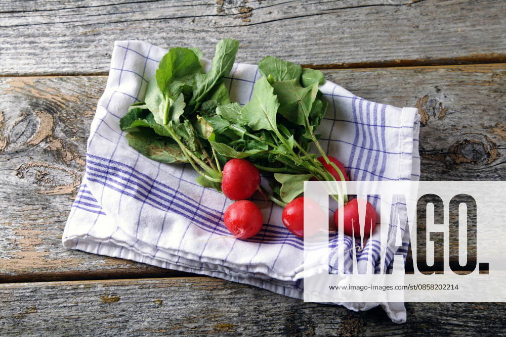 IMAGO Creative, Sommer, Food, Radieschen radieschen ** radish,radishs 647-fs2