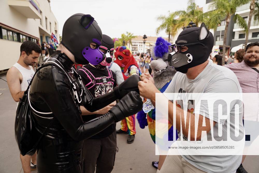 Torremolinos vindicates culture as an expression of diversity in the pride demonstration 2026 Image of the pride demonstration of Torremolinos 2026 On Saturday June 6, 2026, in Torremolinos Malaga, Spain Pride demonstration of Torremolinos 2026, with the slogan Where culture is sown, freedom flourishes, which culminates the acts of Torremolinos Pride 2026 with the reading of the manifesto after the march 06 JUNE 2026 Á Torremolinos Malaga Torremolinos Malaga Espana