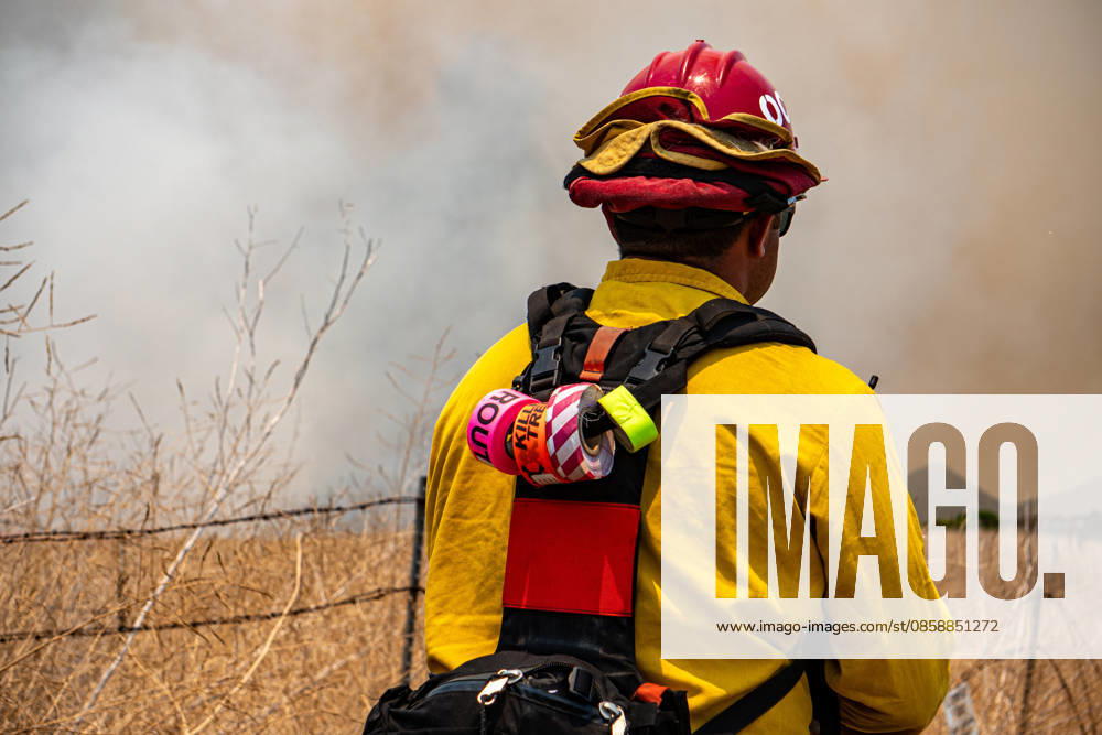 Fire crews battle the November Fire off Foussat Rd. in Oceanside, California, on June 10, 2026. Multiple resources were called to subdue the nearly 850 acre fire that borders Camp Pendleton and the Whelan Lake Audubon Society Preserve. Oceanside USA - ZUMAg219 20260610_znp_g219_005