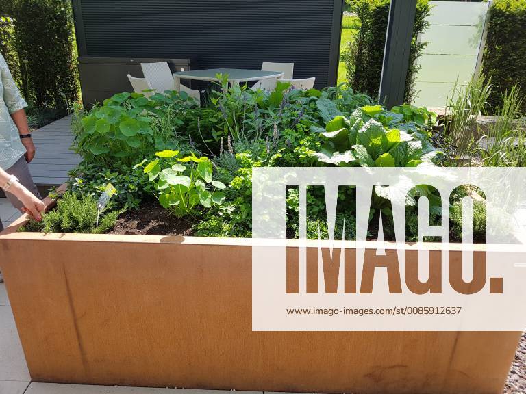 Hochbeet, Kraeuter, Gemuese raised bed, Herbs, Vegetables