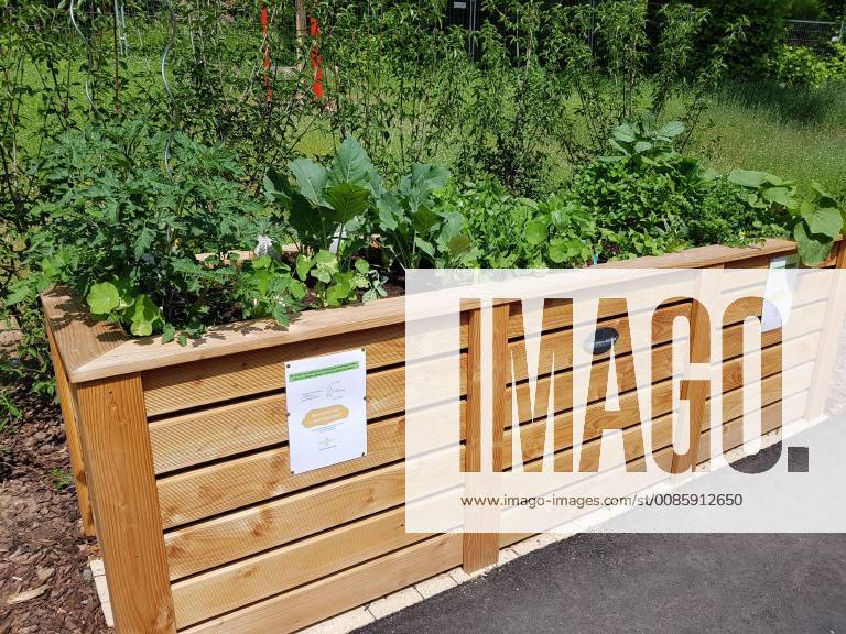 Hochbeet, Kraeuter, Gemuese raised bed, Herbs, Vegetables