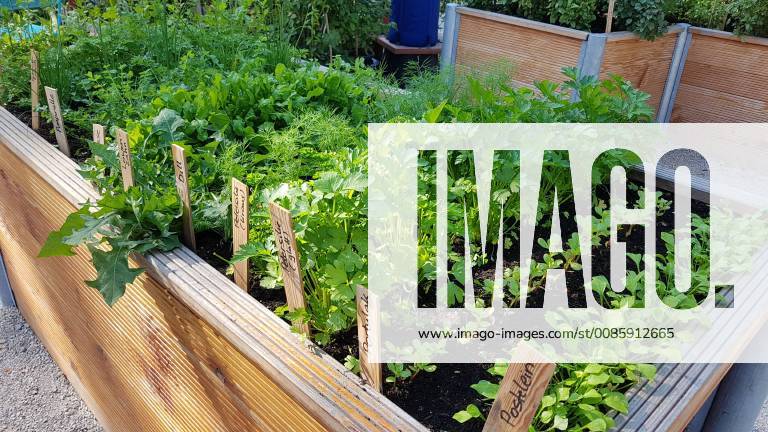 Hochbeet, Kraeuter, Gemuese raised bed, Herbs, Vegetables