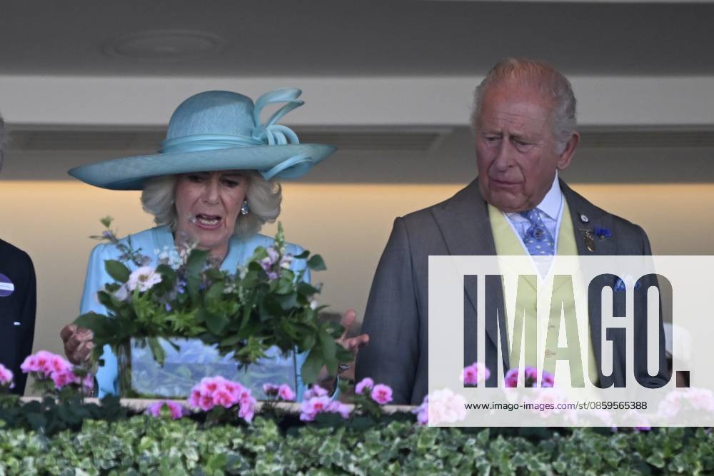 Royal Ascot 2026 BERKSHIRE, UNITED KINGDOM - JUNE 19: King Charles III and Queen Camilla attend the fourth day of the traditional Royal Ascot horse racing event, which has been held since 1711, in Berkshire, United Kingdom on June 19, 2026. Rasid Necati Aslim Anadolu Berkshire United Kingdom. Editorial use only. Please get in touch for any other usage.