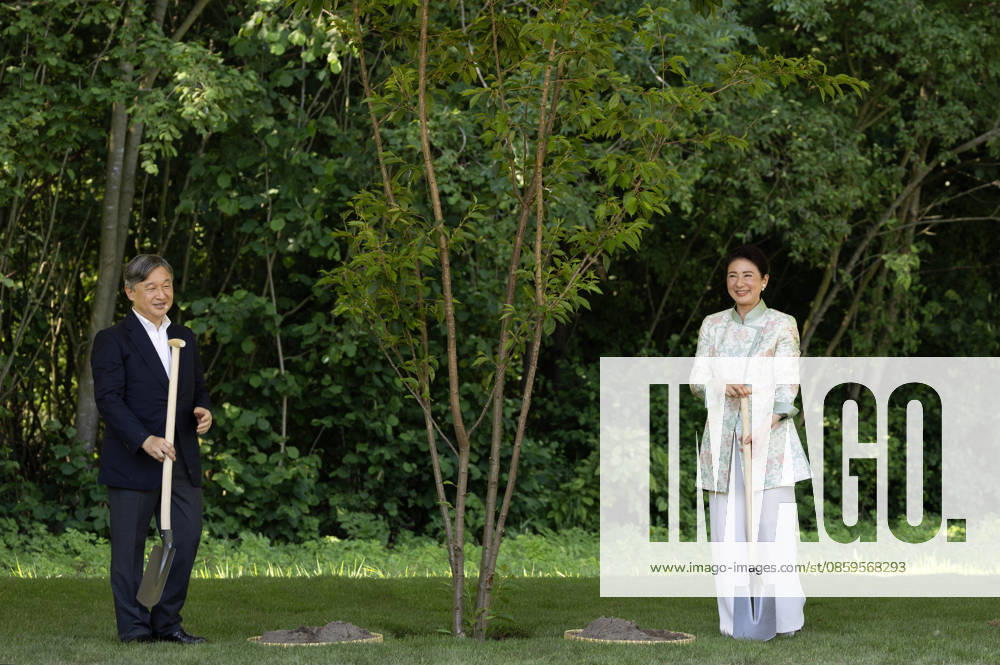 Amsterdam Emperor Naruhito of Japan and Empress Masako planting a cherry tree in the Blossom Park in the Amsterdam Forest on the 3rd and last day of the 3 day statevisit to the Netherlands. Â