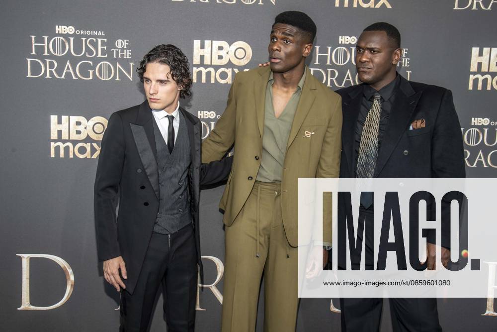 ABB HBO- Harry Collett, Clinton Liberty und Abubakar Salim zu Gast auf dem schwarzen Teppich bei der Deutschland Premiere zur dritten Staffel der HBO Original Serie House of the Dragon im Kino International am 19.06.2026 in Berlin Berlin Deutschland