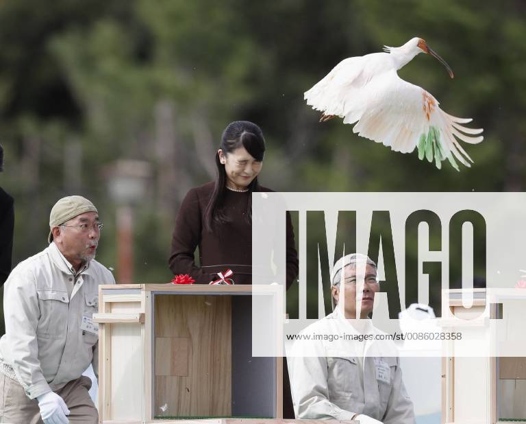 Princess Mako in Sado Princess Mako, the eldest granddaughter of Emperor Akihito and Empress Michiko, releases a crested ibis during a ceremony in Sado on an island in the Sea of Japan, Niigata Prefecture, on Oct. 15, 2018.