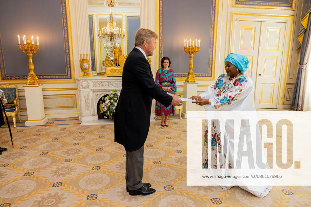 Palace King Willem-Alexander during a meeting with the Ambassador of the Republic of Guinea, Her Excellency A.N. Conte at palace Noordeinde in The Hague. Â