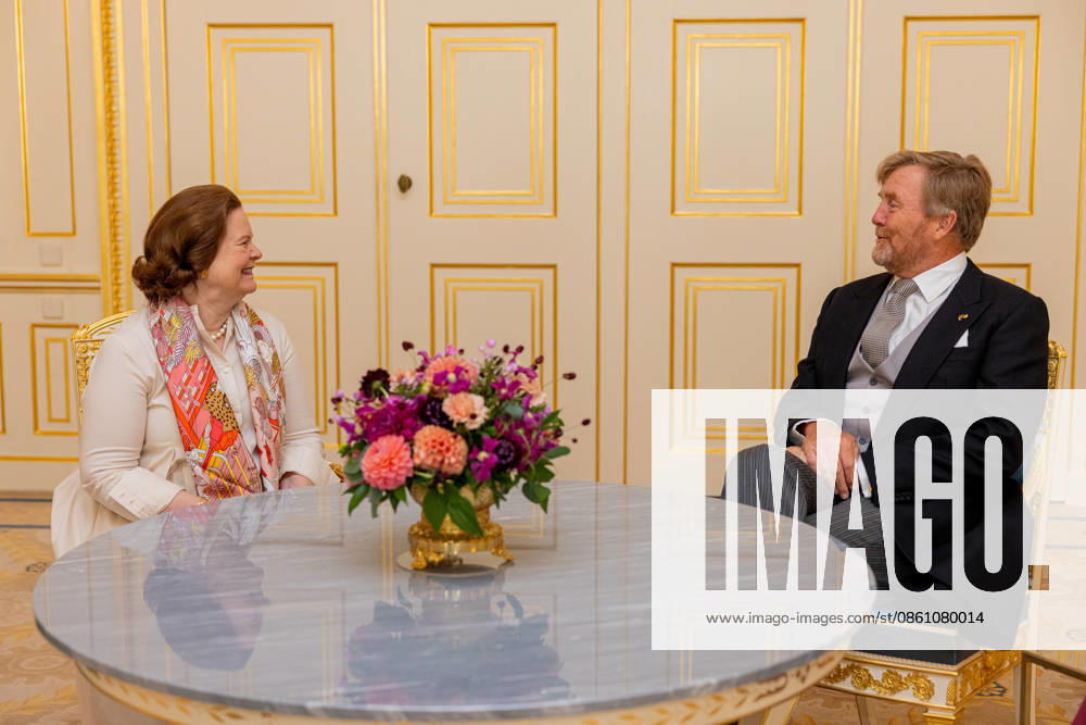 Palace King Willem-Alexander during a meeting with the Ambassador of the Federal Republic of Germany, Her Excellency T. von Uslar-Gleichen at palace Noordeinde in The Hague. Â