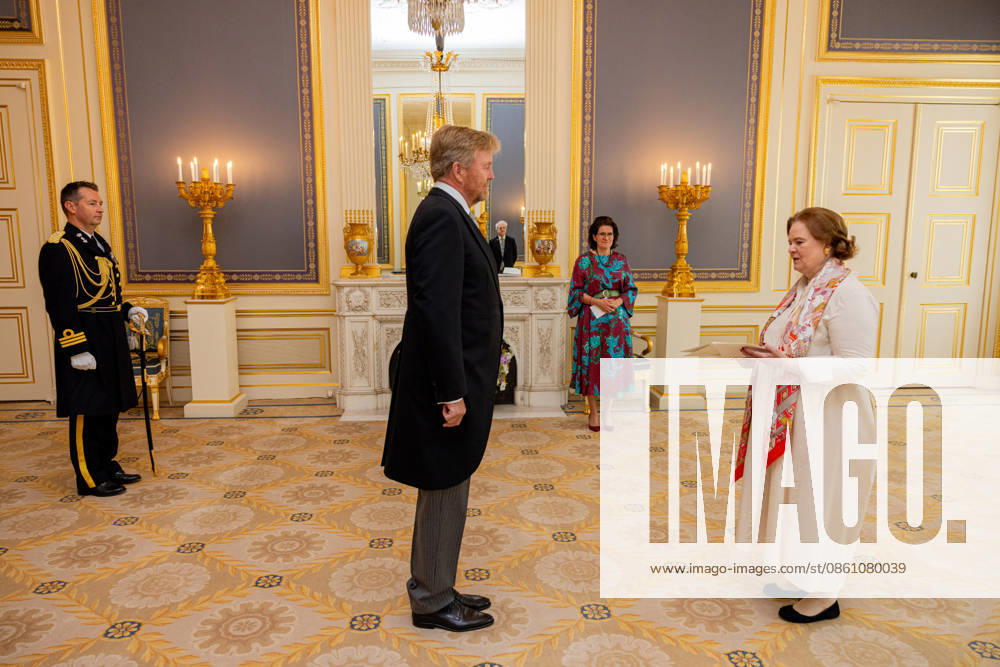 Palace King Willem-Alexander during a meeting with the Ambassador of the Federal Republic of Germany, Her Excellency T. von Uslar-Gleichen at palace Noordeinde in The Hague. Â