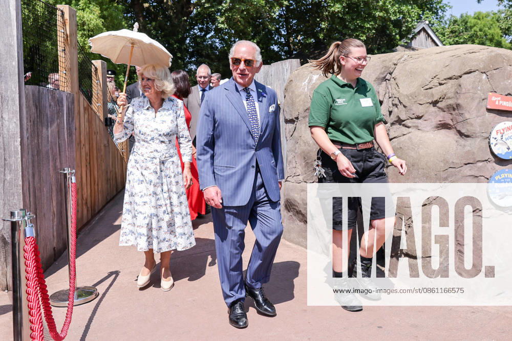 London, UK. King Charles III and Queen Camilla arrive to take part in laser training exercises with Humboldt penguins at Penguin Beach during their visit to London Zoo to mark the 200th anniversary of the Zoological Society of London. London UK - ZUMAl94_ 20260709_zaf_l94_011